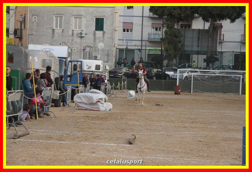 161106 equestre 021_tn.jpg